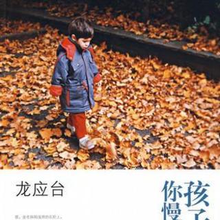 孩子你慢慢来读后感900字