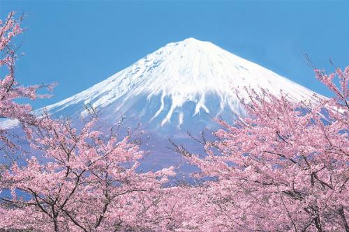 日本富士山游记