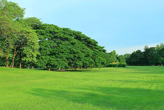 公園真美作文300字